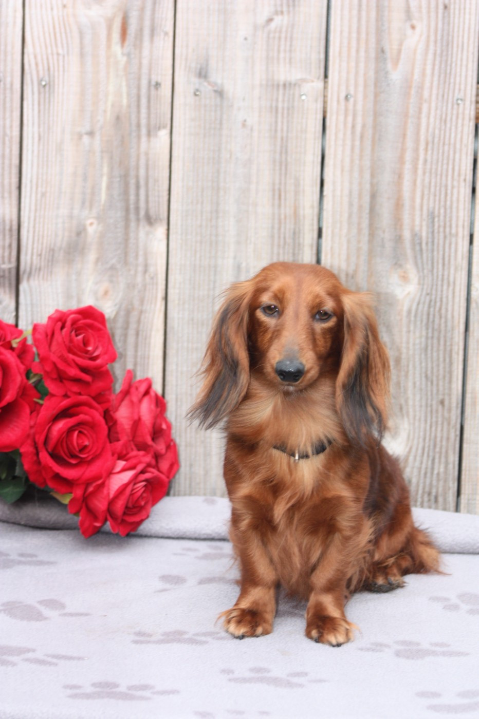 unique girl Des p'tits chupa chups