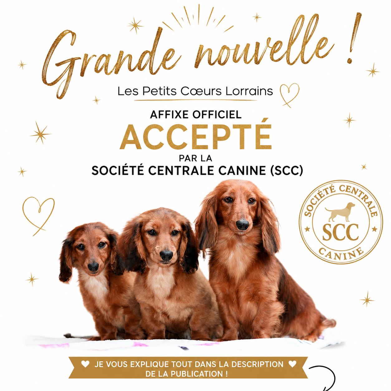 Grande nouvelle !